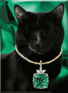 Gif animé bijoux chat